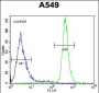 WFDC12 Antibody (C-term)